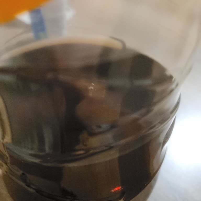 Lipton ice Tea İçerisindeki Küf Ne?