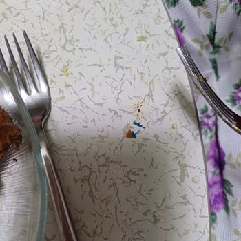 Köfteci Yusuf Şubesinde Plastik Parça Çıktı Gıda Güvenliği İhlali