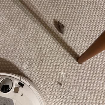 Roborock Q7 Max Plus Uzatılmış Garanti Kapsamında Servis İhmali Ve Tekrarlayan Arızalar