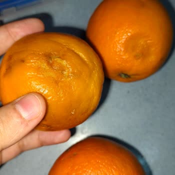 Şok Market Uygulamasında Sürekli Bozuk Ve Eksik Ürün Sorunu