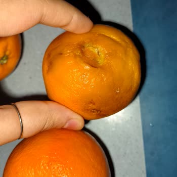 Şok Market Uygulamasında Sürekli Bozuk Ve Eksik Ürün Sorunu