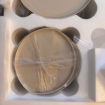 Karaca Züccaciye Kırık Gelen Tabağın Yenisini Göndermiyor