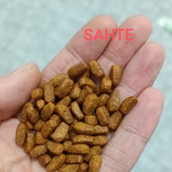 Trendyol Orijinal Olmayan Kedi Maması Nedeniyle Kediler Aç Kaldı ve Ücret İadesi Talep Ediyorum