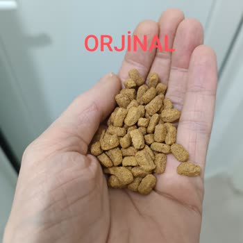 Trendyol Orijinal Olmayan Kedi Maması Nedeniyle Kediler Aç Kaldı ve Ücret İadesi Talep Ediyorum