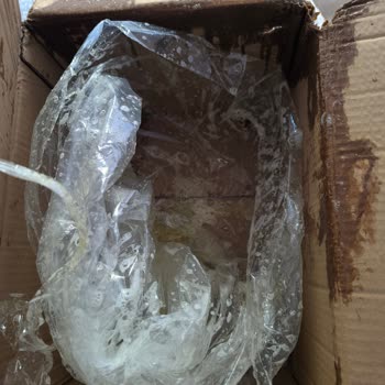 Bingo Islak Kargo ve Açık Kapaklı Deterjan Şişesi Nedeniyle Ürün Değişimi Talebi