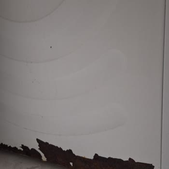Profilo Buzdolabı Ve Çamaşır Makinesinde Tekrarlayan Paslanma Ve Boya Atması