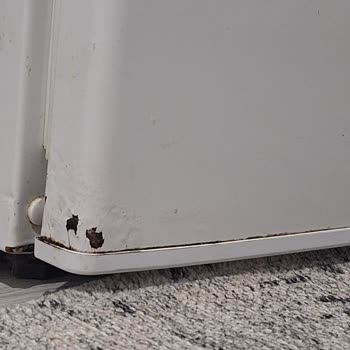 Profilo Buzdolabı Ve Çamaşır Makinesinde Tekrarlayan Paslanma Ve Boya Atması