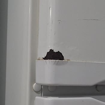 Profilo Buzdolabı Ve Çamaşır Makinesinde Tekrarlayan Paslanma Ve Boya Atması