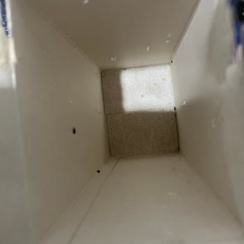 Barilla Lazanyada Böcek Görüldü, Gıda Güvenliği İhlali