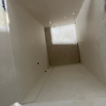 Barilla Lazanyada Böcek Görüldü, Gıda Güvenliği İhlali