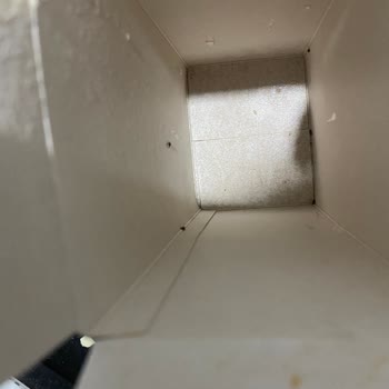 Barilla Lazanyada Böcek Görüldü, Gıda Güvenliği İhlali