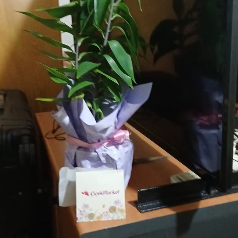 Çiçek Market İki Saat Gecikmeli Ve Yanlış Çiçek Teslimatı