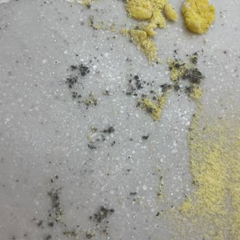 Itır Mısır Ununda Yabancı Parçacıklar Bulunması Ve Gıda Güvenliği Endişesi