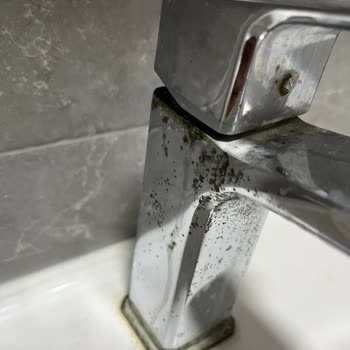 ECA Bataryasında Hızla Artan Paslanma Ve Garanti Kapsamında Ücretsiz Değişim Talebi