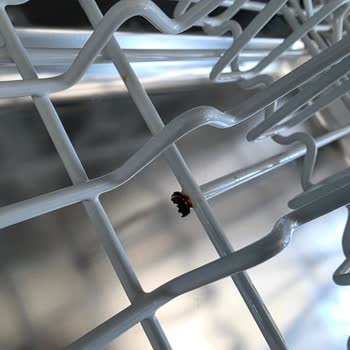 Miele G 4263 Vi Bulaşık Makinesinde Sepet Tellerinin Paslanması Ve Hijyen Endişesi