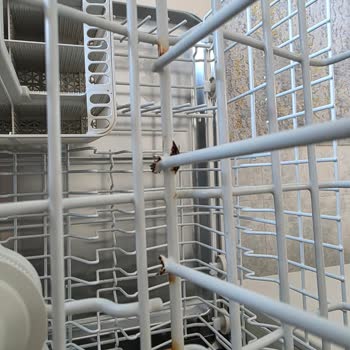 Miele G 4263 Vi Bulaşık Makinesinde Sepet Tellerinin Paslanması Ve Hijyen Endişesi