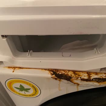 Vestel Çamaşır Makinemin Kısa Sürede Paslanması Ve Ürün Değişimi Talebi