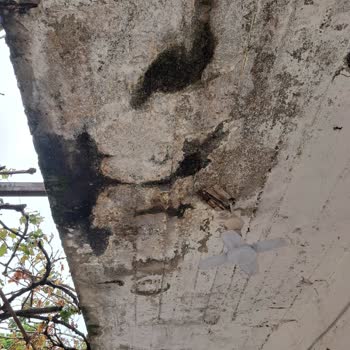 Filli Boya Dam İzolasyon Ürünü Kışın Su Ve Nem Problemi Yarattı, Şirket Geri Dönüş Yapmadı