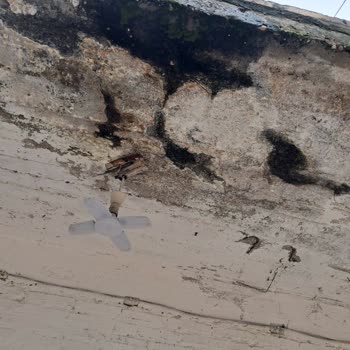 Filli Boya Dam İzolasyon Ürünü Kışın Su Ve Nem Problemi Yarattı, Şirket Geri Dönüş Yapmadı