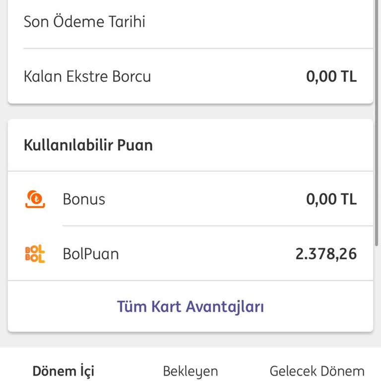 ING Bank Dijital Kredi Kartı Bonusunun Yüklenmemesi Ve Müşteri Hizmetleri Sorunu