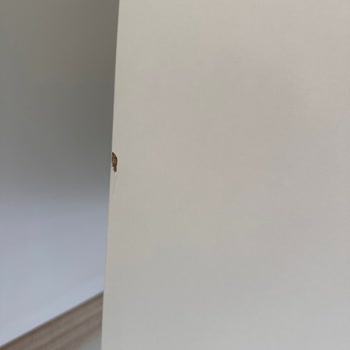 Düğün Öncesi Hasarlı Mobilyalar İçin Acil Değişim Talebi