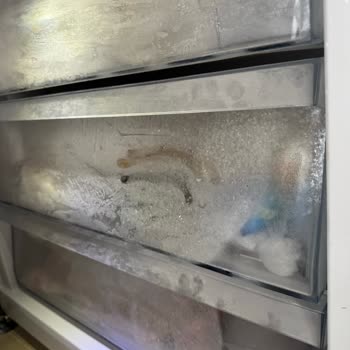 Beko Buzdolabında Dondurucu Buzlanması Sürekli Devam Ediyor Ve Servis Tarafından Tehdit Ediliyorum