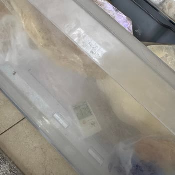 Beko Buzdolabında Dondurucu Buzlanması Sürekli Devam Ediyor Ve Servis Tarafından Tehdit Ediliyorum