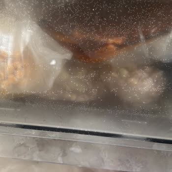 Beko Buzdolabında Dondurucu Buzlanması Sürekli Devam Ediyor Ve Servis Tarafından Tehdit Ediliyorum