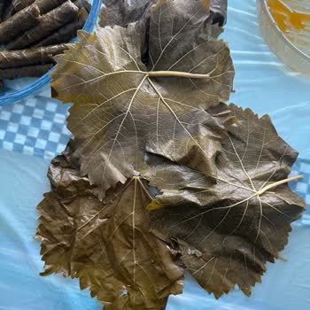 Fatma'nın Bahçesi Kötü Kaliteli Ürün Ve Saygısız Yaklaşım