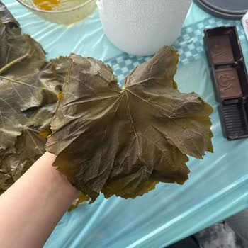 Fatma'nın Bahçesi Kötü Kaliteli Ürün Ve Saygısız Yaklaşım