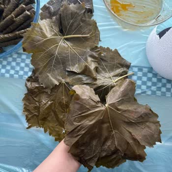 Fatma'nın Bahçesi Kötü Kaliteli Ürün Ve Saygısız Yaklaşım