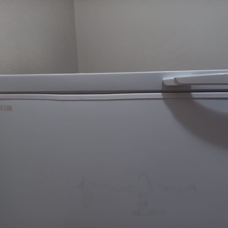 Hasarlı Gelen Yeni Derin Dondurucu Nedeniyle Büyük Mağduriyet