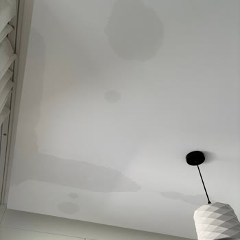 Electrolux Kurulum Hatası Nedeniyle Su Sızıntısı Ve 8.000 TL Tavan Tamiri Masrafının İadesi Talebi