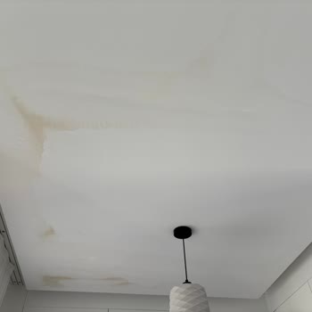 Electrolux Kurulum Hatası Nedeniyle Su Sızıntısı Ve 8.000 TL Tavan Tamiri Masrafının İadesi Talebi