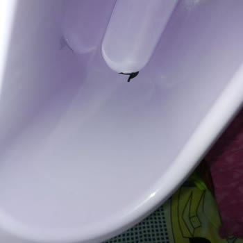 PTT Kargo’nun Kırdığı Ürünler İçin Telafi Talebi