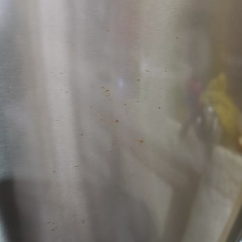 Bosch Inox Buzdolabı 2.5 Yılda Paslanarak Markaya Güveni Sarsıyor
