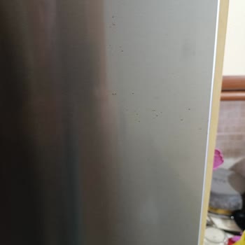 Bosch Inox Buzdolabı 2.5 Yılda Paslanarak Markaya Güveni Sarsıyor