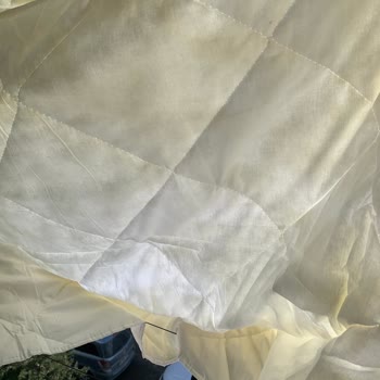 Dolgu Malzemesi Yok Pierre Cardin Yorganı Ayıplı