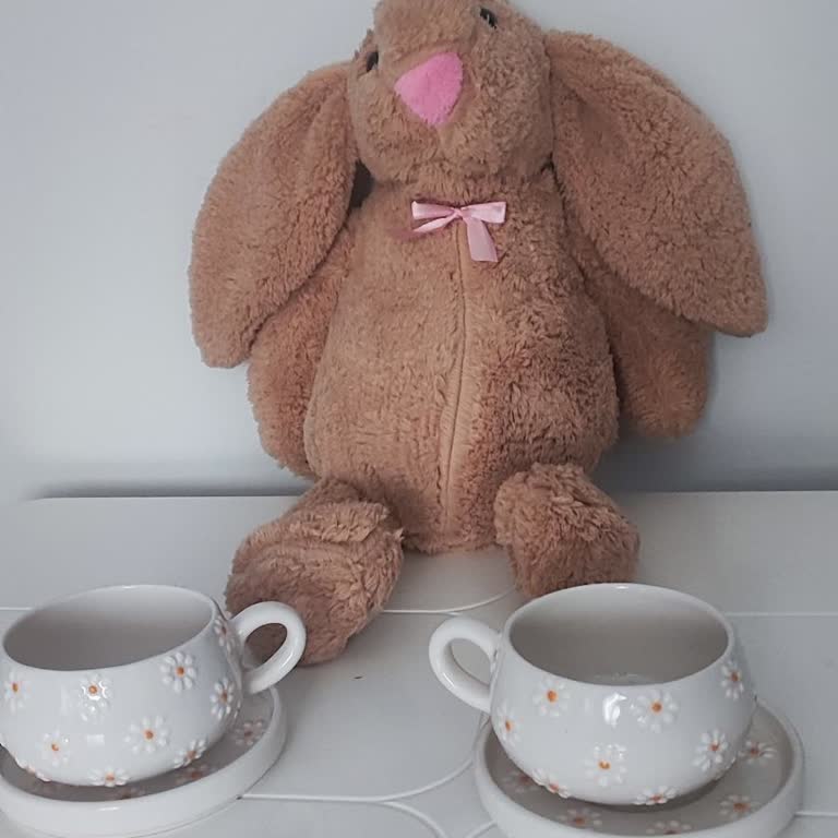 Yanlış Ve Hasarlı Peluş Tavşan Teslimatı İçin Hızlı Çözüm Talebi