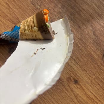 Şölen Ozmo Kornet Çocuk İçin Açıldığında Ölü Karınca Çıktı