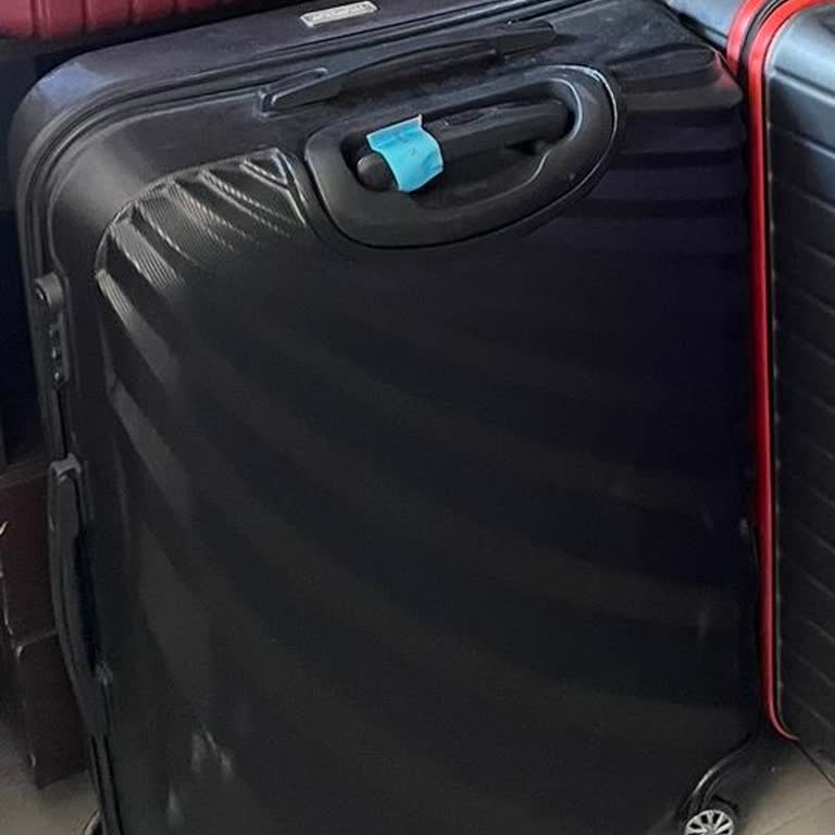 Kaybolan Bagajım İçin Hızlı Geri Dönüş Ve Teslimat Talebi