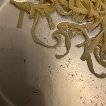 Barilla Tagliatelle Paketinde Böcek Ve Kurt Bulunması