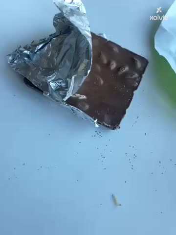 I Found a Worm in My Nestlé Chocolate video cover