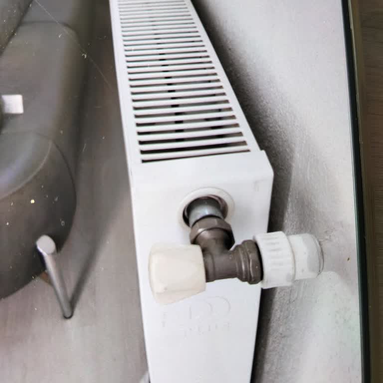 Garanti Kapsamındaki Radyatör Sızıntısı İçin Ücretsiz Değişim Talebi