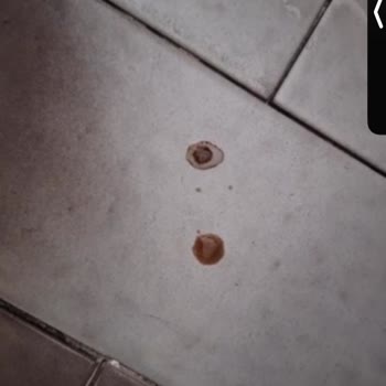 Vileda Pedallı Turbo Paspas’ta Pas Sızıntısı Ve Cevapsız Müşteri Hizmeti