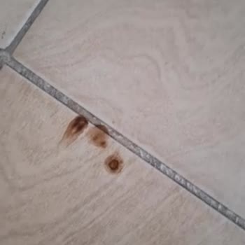 Vileda Pedallı Turbo Paspas’ta Pas Sızıntısı Ve Cevapsız Müşteri Hizmeti