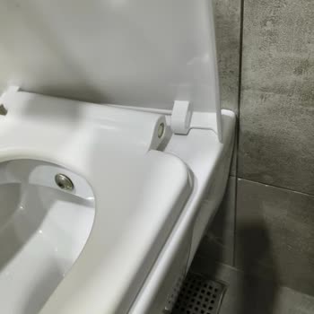 Ege Vitrifiye Kapağının Menteşe Piminin Kırılması Ve Yedek Parça Temini