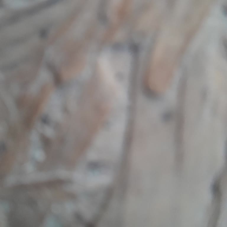 TV+ Promosyon Kodu Kullanılamıyor: Banka Destek Vermiyor