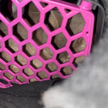 Öz Bingöl Turizm Kedinin Astımına Rağmen Oda Kokusu Sıkılması Ve Personel Davranışı