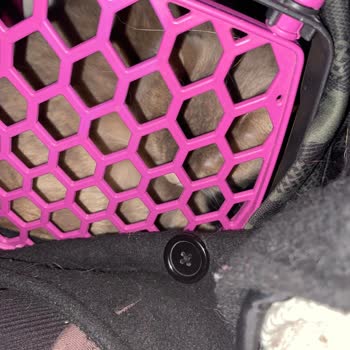 Öz Bingöl Turizm Kedinin Astımına Rağmen Oda Kokusu Sıkılması Ve Personel Davranışı